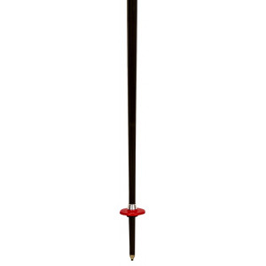 Vola SL Ski Pole