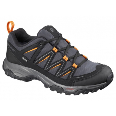 Salomon Arcolo 2 GTX