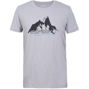 Icepeak Bayport