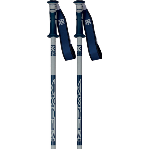 Dynastar Vector 4 Gris/Bleu