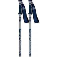 Dynastar Vector 4 Gris/Bleu