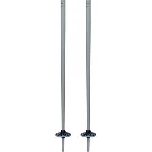 Dynastar Vector 4 Gris/Bleu
