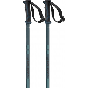 Salomon Arctic Blue
