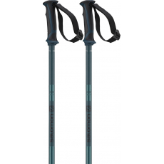Salomon Arctic Blue