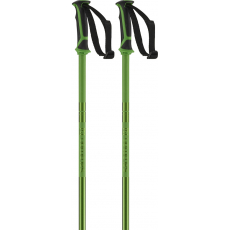 Salomon Arctic Vert
