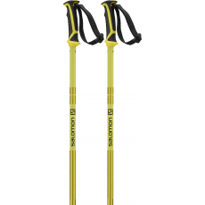 Salomon Arctic Jaune