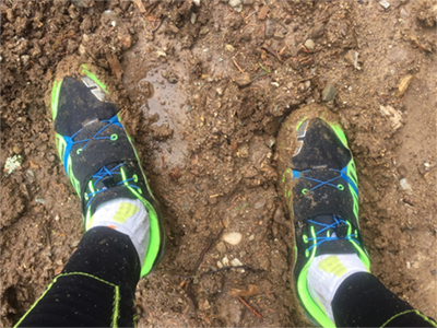 Chaussure de trail dynafit alpine Pro sur le terrain